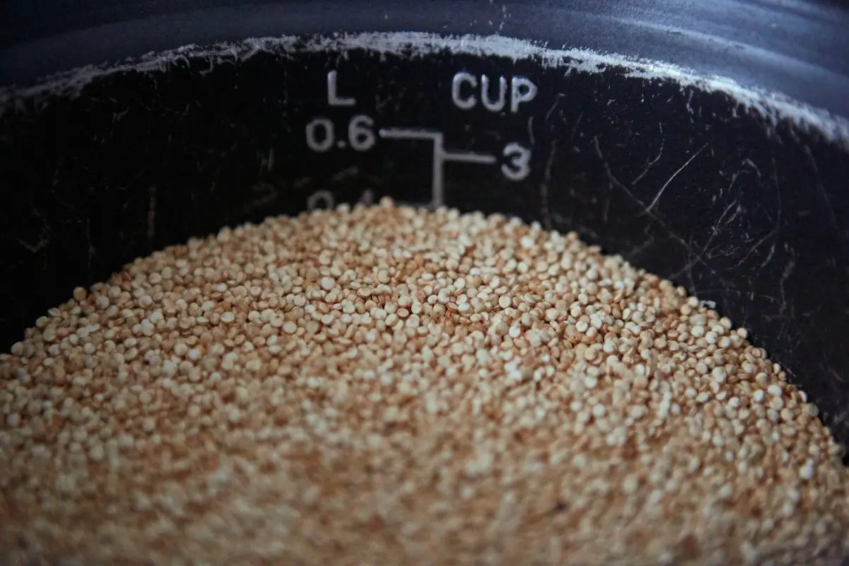 How to cook quinoa in a rice cooker?