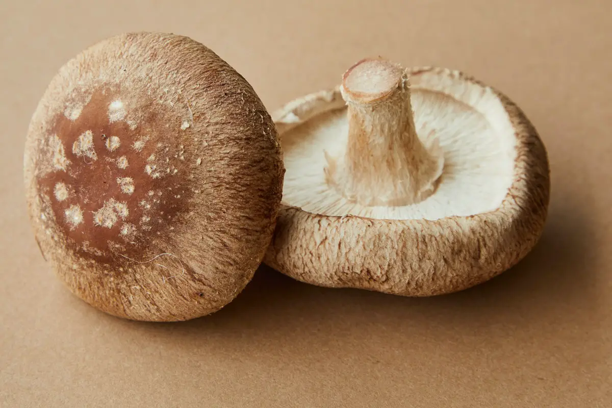 How To Store Mushrooms In Fridge
