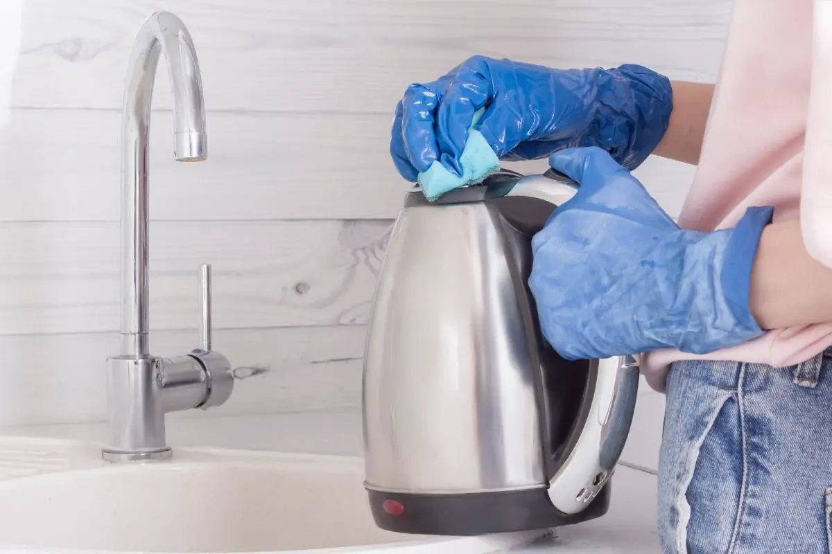 How-To-Wash-Electric-Kettle-1