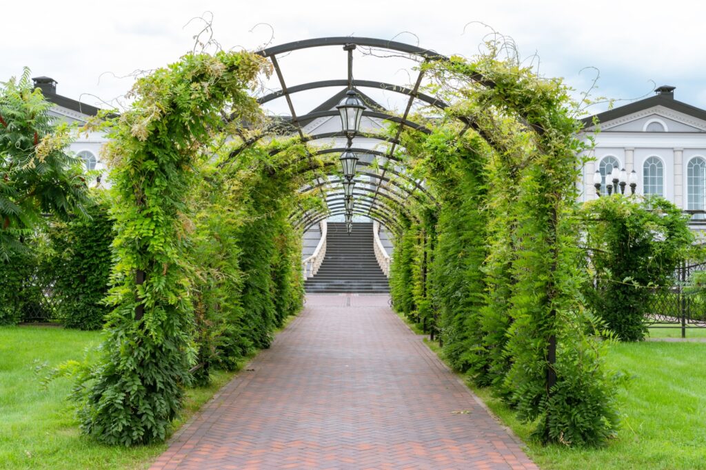 Unlock the Potential of Vertical Gardening Metal Arch