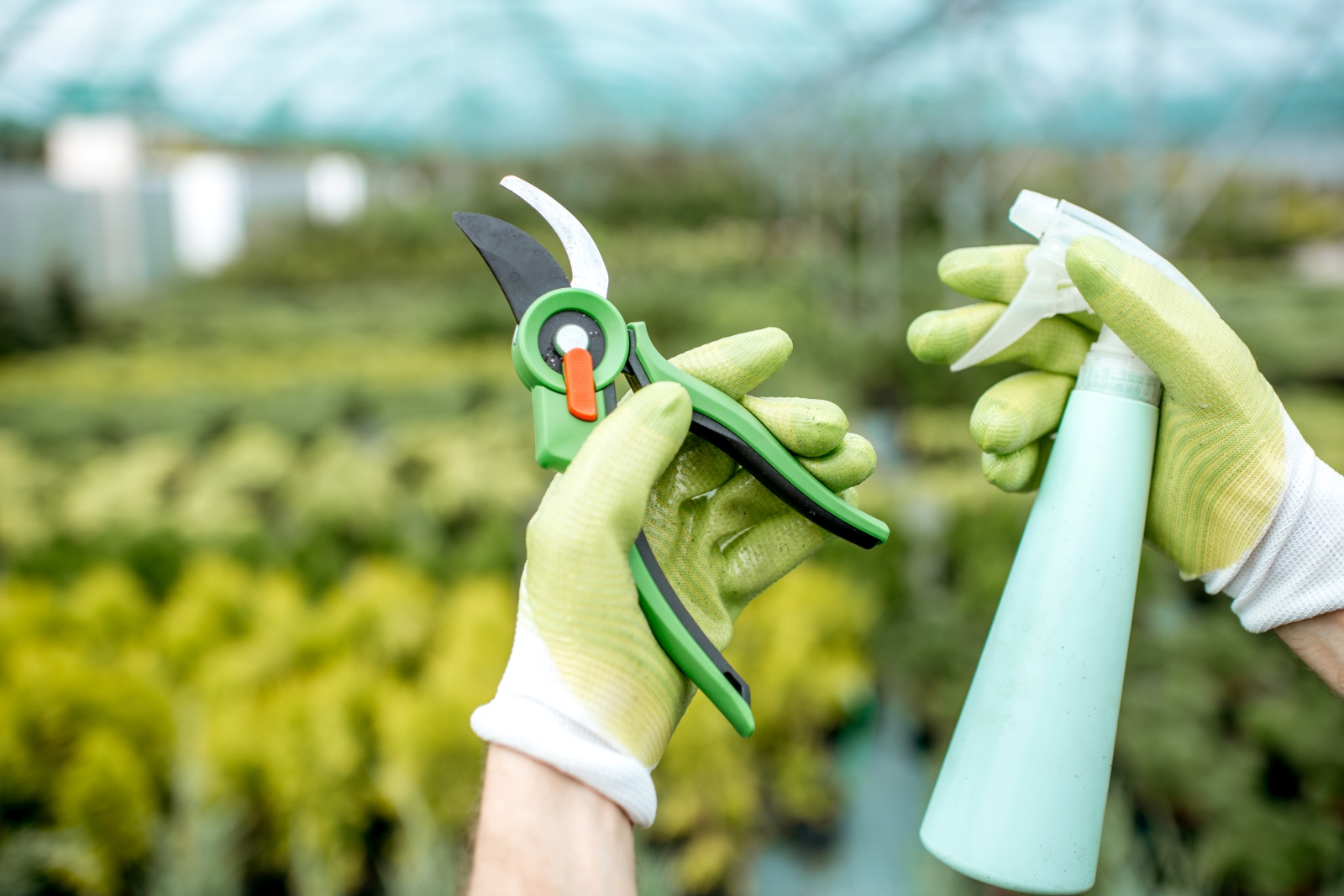 How To Store And Care For Your Pruners